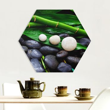 Hexagon Bild Forex - Grüner Bambus mit Zen Steinen