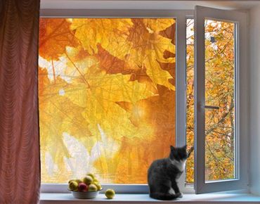 Fensterfolie - Sichtschutz Fenster Autumn Leaves - Fensterbilder