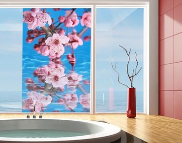 Fensterfolie - Sichtschutz Fenster Kirschblüte - Fensterbilder