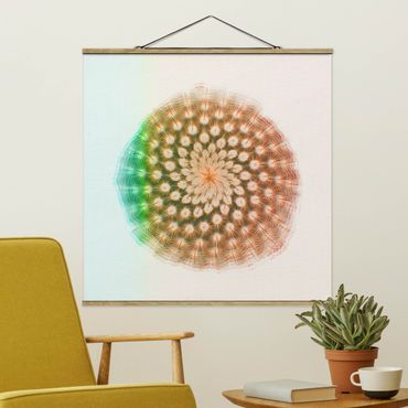 Stoffbild mit Posterleisten - Wasserfarben - Kaktusblüte - Quadrat 1:1