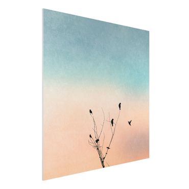 Forex Fine Art Print - Vögel vor rosa Sonne II - Quadrat 1:1