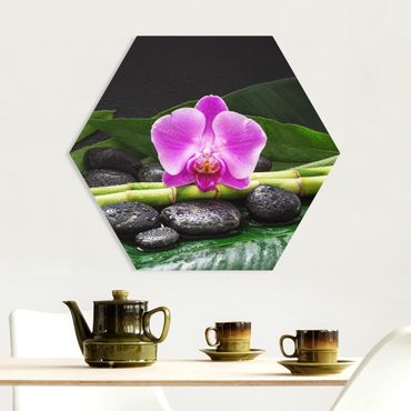 Hexagon Bild Forex - Grüner Bambus mit Orchideenblüte