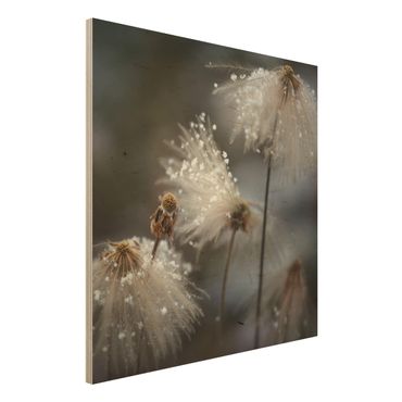 Holzbild - Pusteblumen mit Schneeflocken - Quadrat 1:1