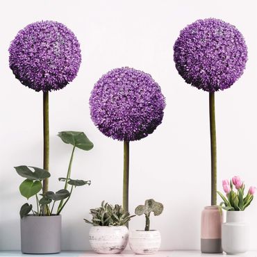 Wandtattoo - Allium Kugel-Blüten 3er Set