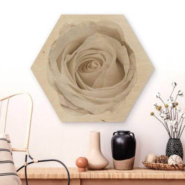 Hexagon Bild Holz - Wasserfarben - Pretty White Rose