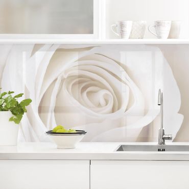 Küchenrückwand - Pretty White Rose