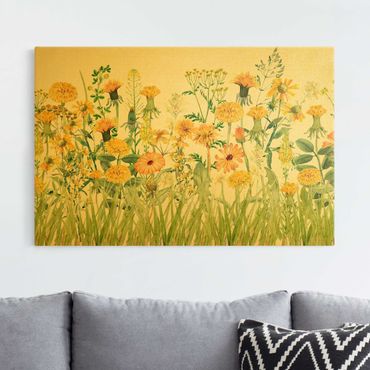 Lienzo - Watercolour Flower Meadow In Yellow