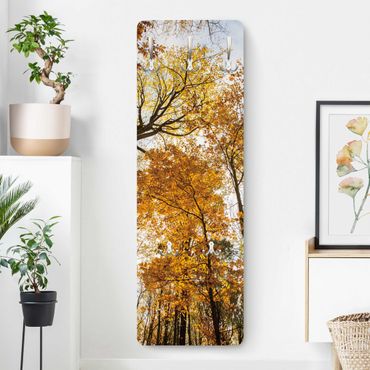Perchero de pared panel de madera - Trees in autumnal colouring