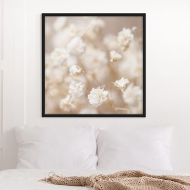 Bild mit Rahmen - Blütenträume in Creme - Quadrat