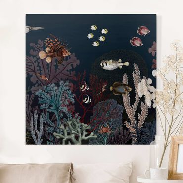 Lienzo - Colourful coral reef at night