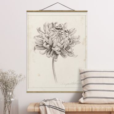 Stoffbild mit Posterleisten - Botanische Studie Chrysantheme I - Hochformat 3:4