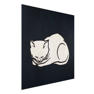 Forex Fine Art Print - Schlafende Katze Illustration - Quadrat 1:1