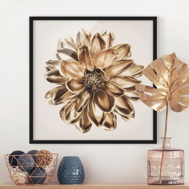 Bild mit Rahmen - Dahlie Blume Gold Metallic - Quadrat