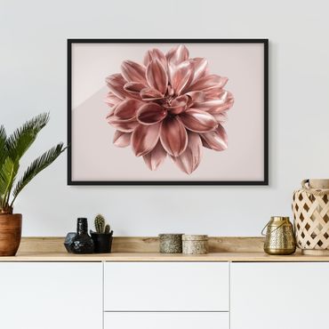 Bild mit Rahmen - Dahlie Blume Rosegold Metallic - Querformat