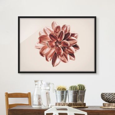 Bild mit Rahmen - Dahlie Rosegold Metallic Rosa - Querformat