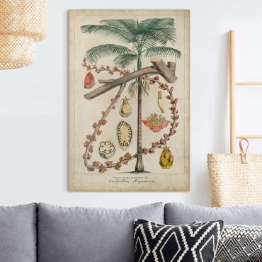 Leinwandbild - Vintage Lehrtafel Exotische palmen II - Hochformat 3:2