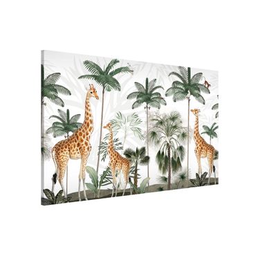 Tablero magnético - Elegance of the giraffes in the jungle