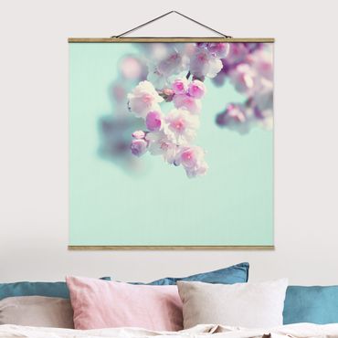 Stoffbild mit Posterleisten - Farbenfrohe Kirschblüten - Quadrat 1:1