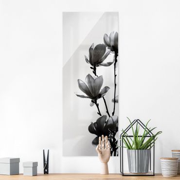 Glasbild - Frühlingsbote Magnolie Schwarz Weiß - Hochformat