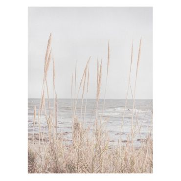Lienzo - Grasses by the sea