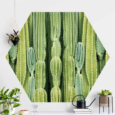 Hexagon Mustertapete selbstklebend - Kaktus Wand