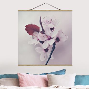 Stoffbild mit Posterleisten - Kirschblütenzweig Altrosa - Quadrat 1:1
