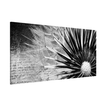Magnettafel - Pusteblume Schwarz & Weiß - Memoboard Panorama Quer