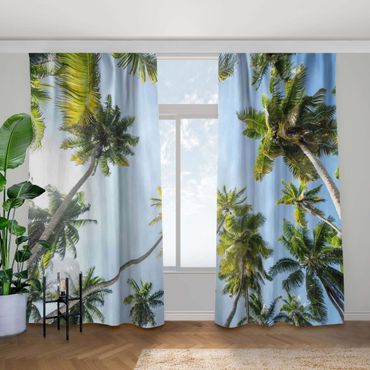 Cortina - Palm Tree Canopy