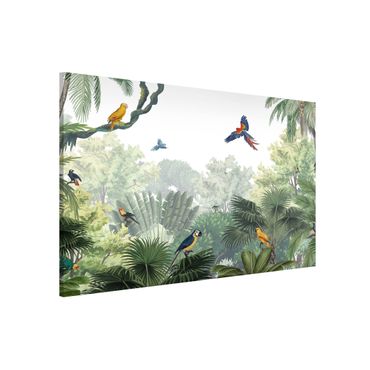 Tablero magnético - Parrot parade in the gentle jungle