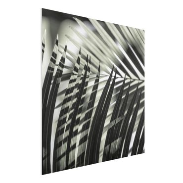 Forex Fine Art Print - Schattenspiel auf Palmenwedel - Quadrat 1:1
