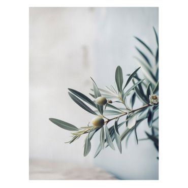 Lienzo - Delicate olive branch in blossom