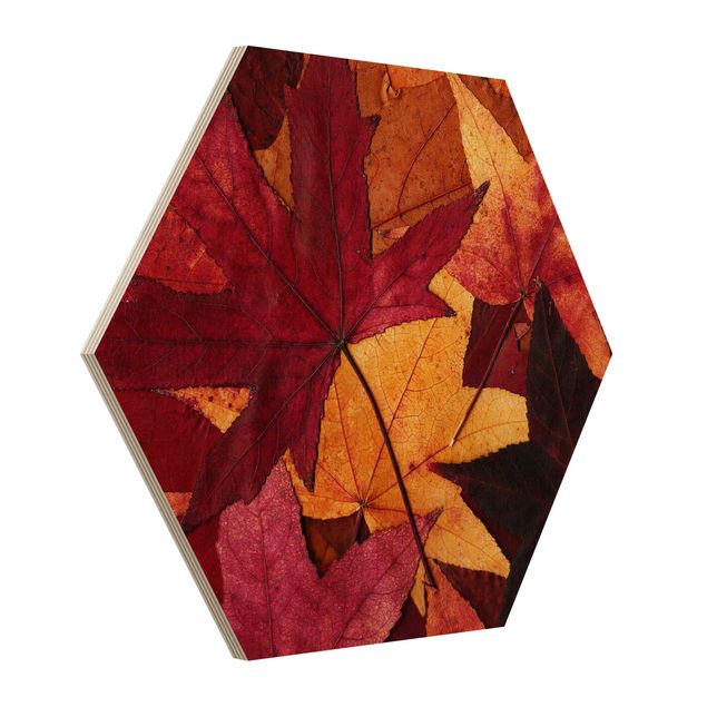 Cuadros modernos Coloured Leaves
