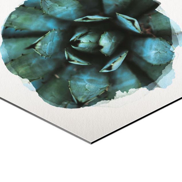 cuadros hexagonales Water Colours - Blue Agave