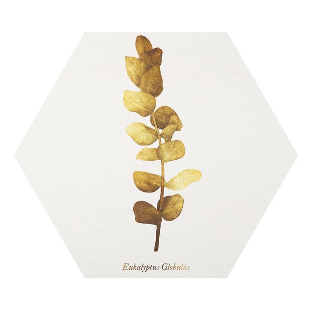 Cuadros Gold - Eucalyptus