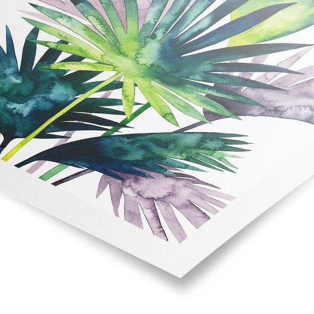 Cuadro verde Exotic Foliage - Fan Palm