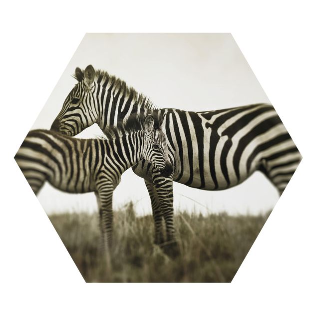 Cuadros infantiles animales Zebra Couple