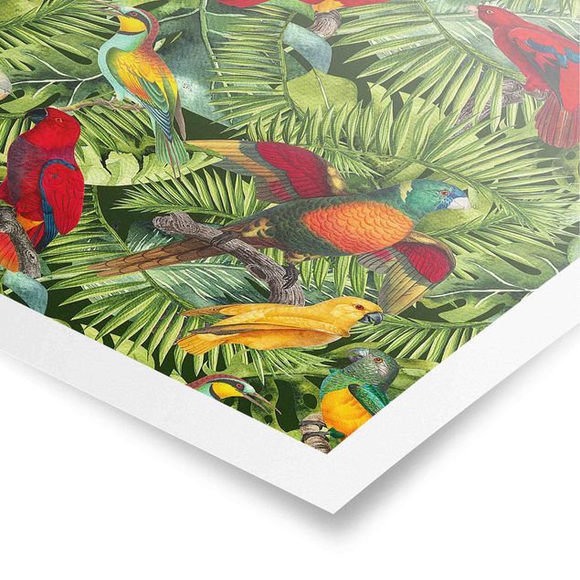 Póster cuadros famosos Colourful Collage - Parrots In The Jungle