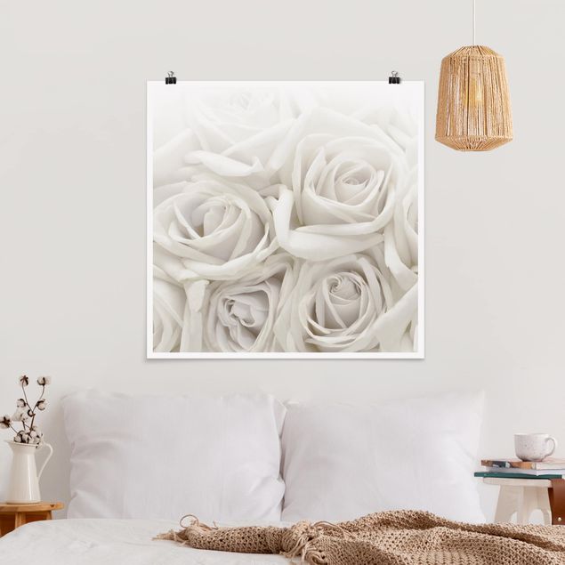 Láminas flores White Roses