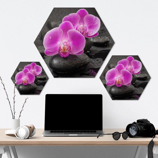 cuadro hexagonal Pink Orchid Flower On Stones With Drops