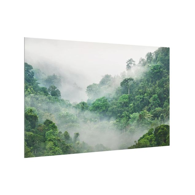 panel-antisalpicaduras-cocina Jungle In The Fog