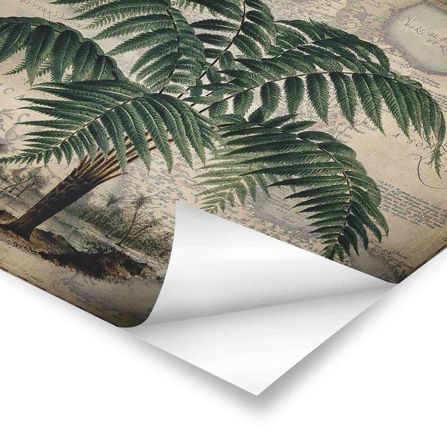 Cuadros Haase Vintage Collage - Palm And World Map