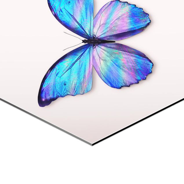 Cuadros Jonas Loose Holographic Butterfly