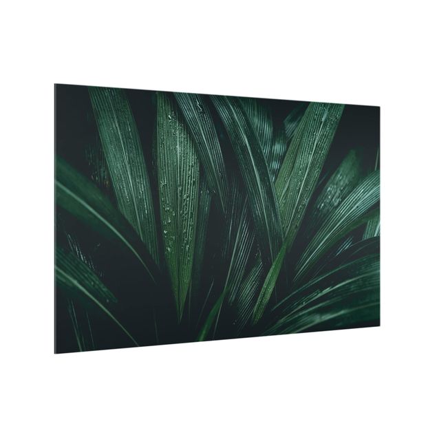 panel-antisalpicaduras-cocina Green Palm Leaves