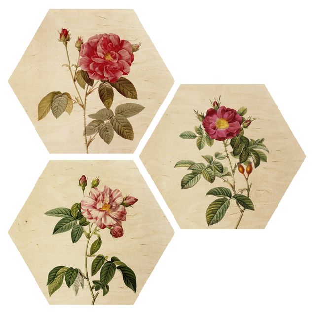 Cuadros de madera flores Pierre Joseph Redouté - Roses
