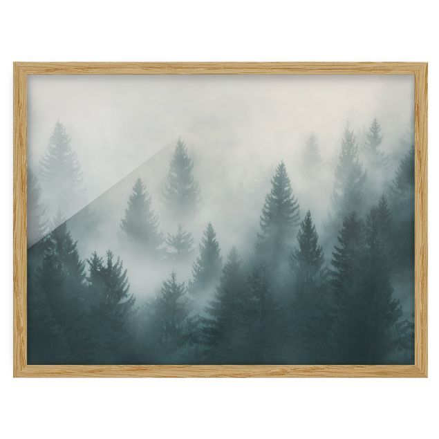 Pósters enmarcados de paisajes Coniferous Forest In Fog