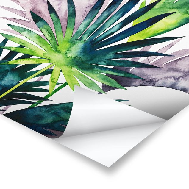 Cuadros Exotic Foliage - Fan Palm