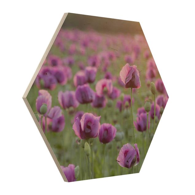 Cuadros Mirau Purple Poppy Flower Meadow In Spring