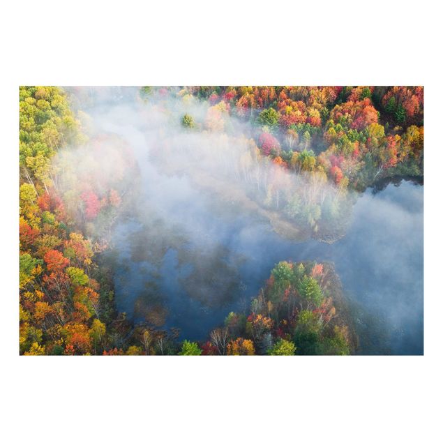Cuadros de árboles para salón Aerial View - Autumn Symphony