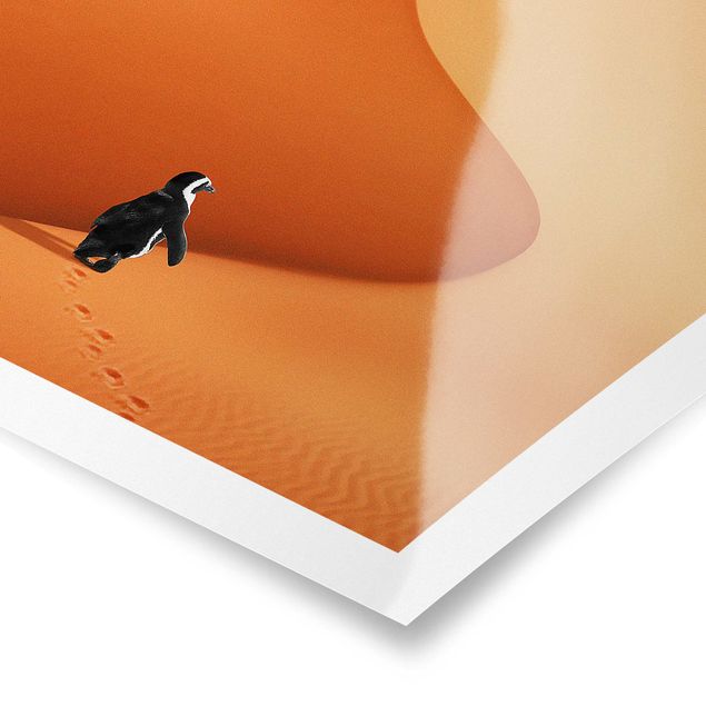 Cuadros naranja Desert With Penguin