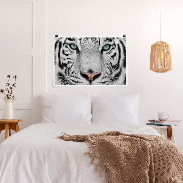 Pósters en blanco y negro White Tiger